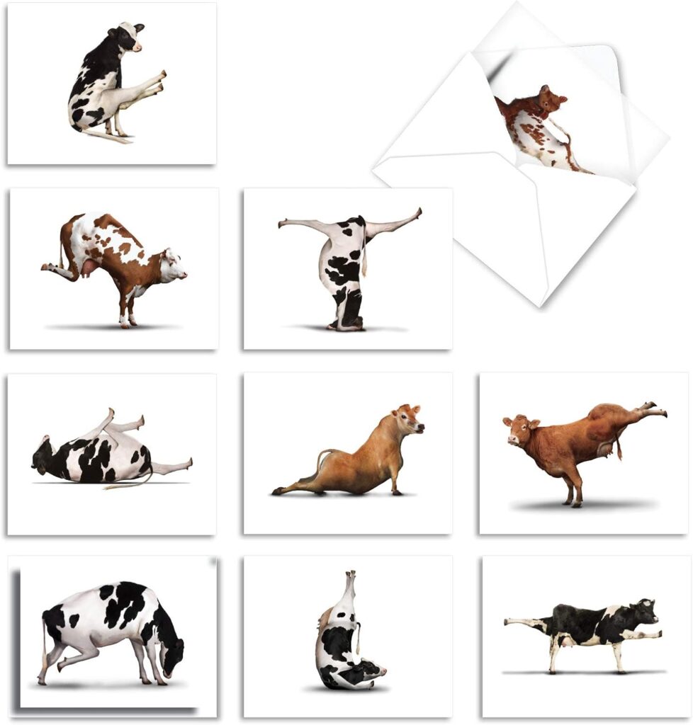 The Best Card Company - 10 Blank Yoga Note Cards (4x 5.12 Inch) - Boxed Notecards with Envelopes, Cute Animal Cards, Zen Assortment - Bovine Nirvana M6545OCB