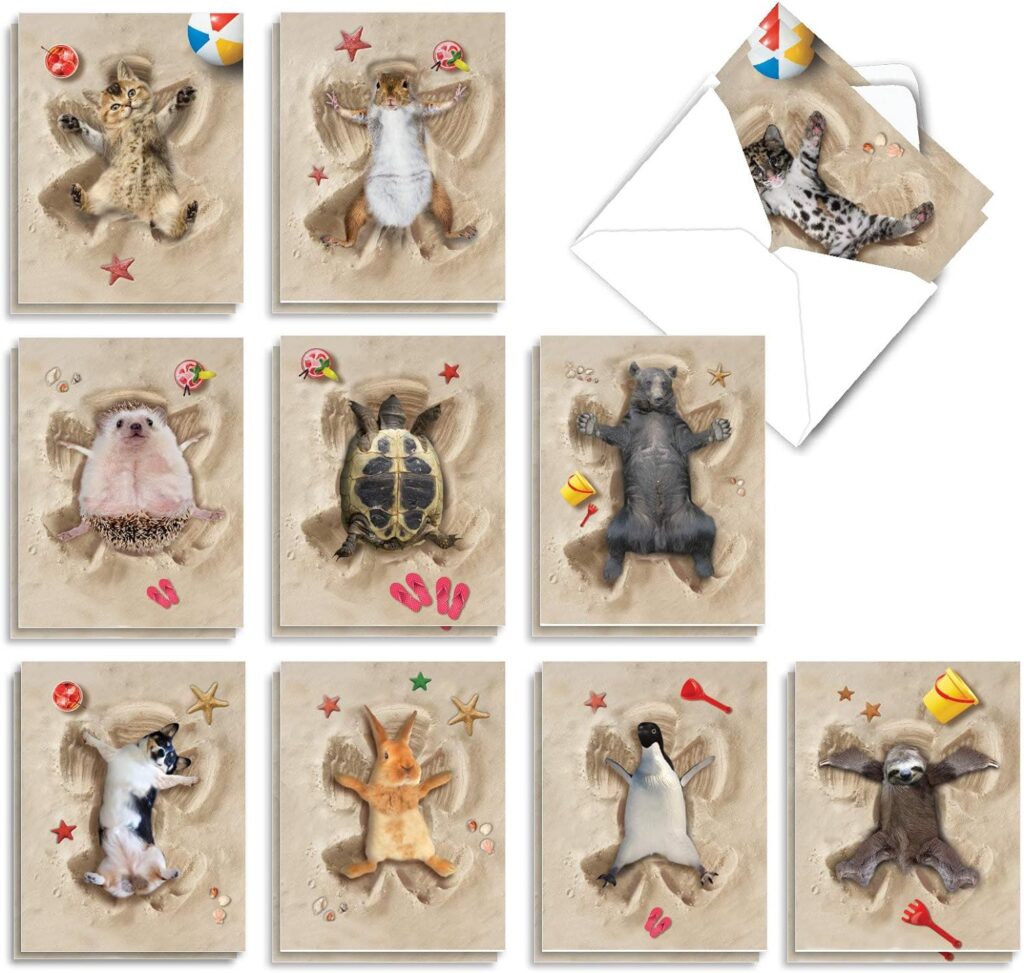 The Best Card Company - 20 Bulk Animal Note Cards Blank (4 x 5.12 Inch) - Fun Assorted Notecards with Envelopes (10 Designs, 2 Each) - Sand Angels AM6844OCB-B2x10