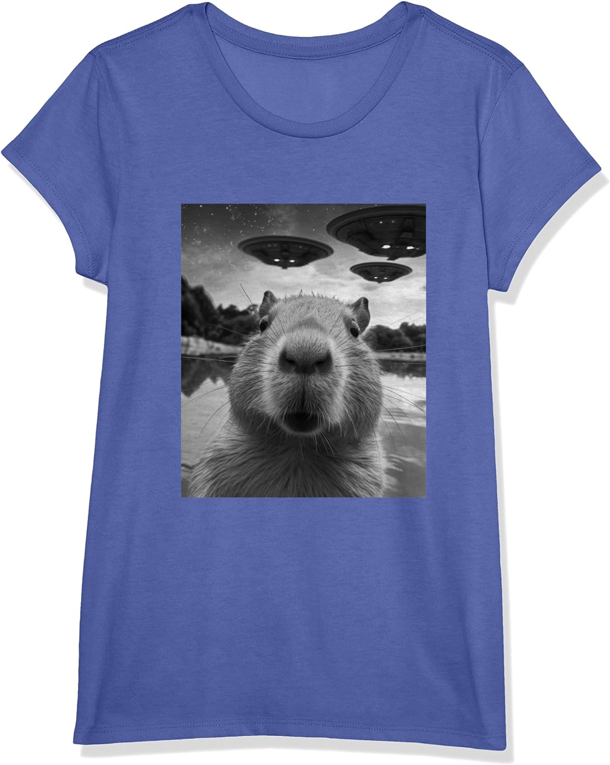 Funny Graphic Tee Capybara Selfie with UFOs Weird T-Shirt Review